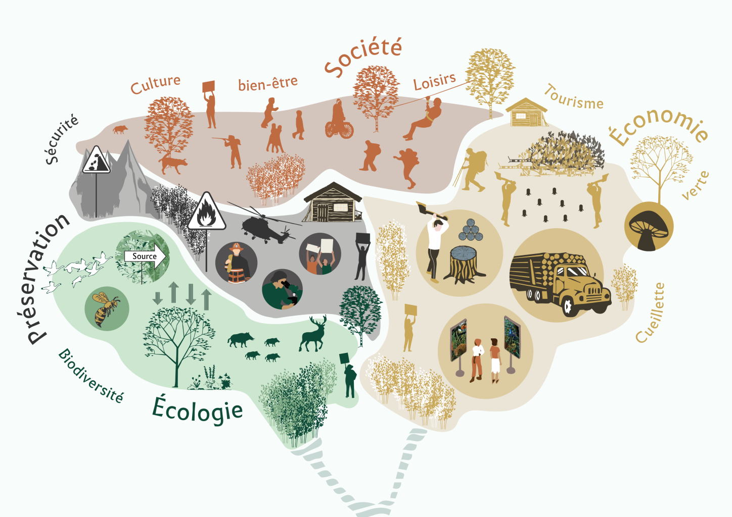 Quels défis pour la multifonctionnalité des forêts  ?